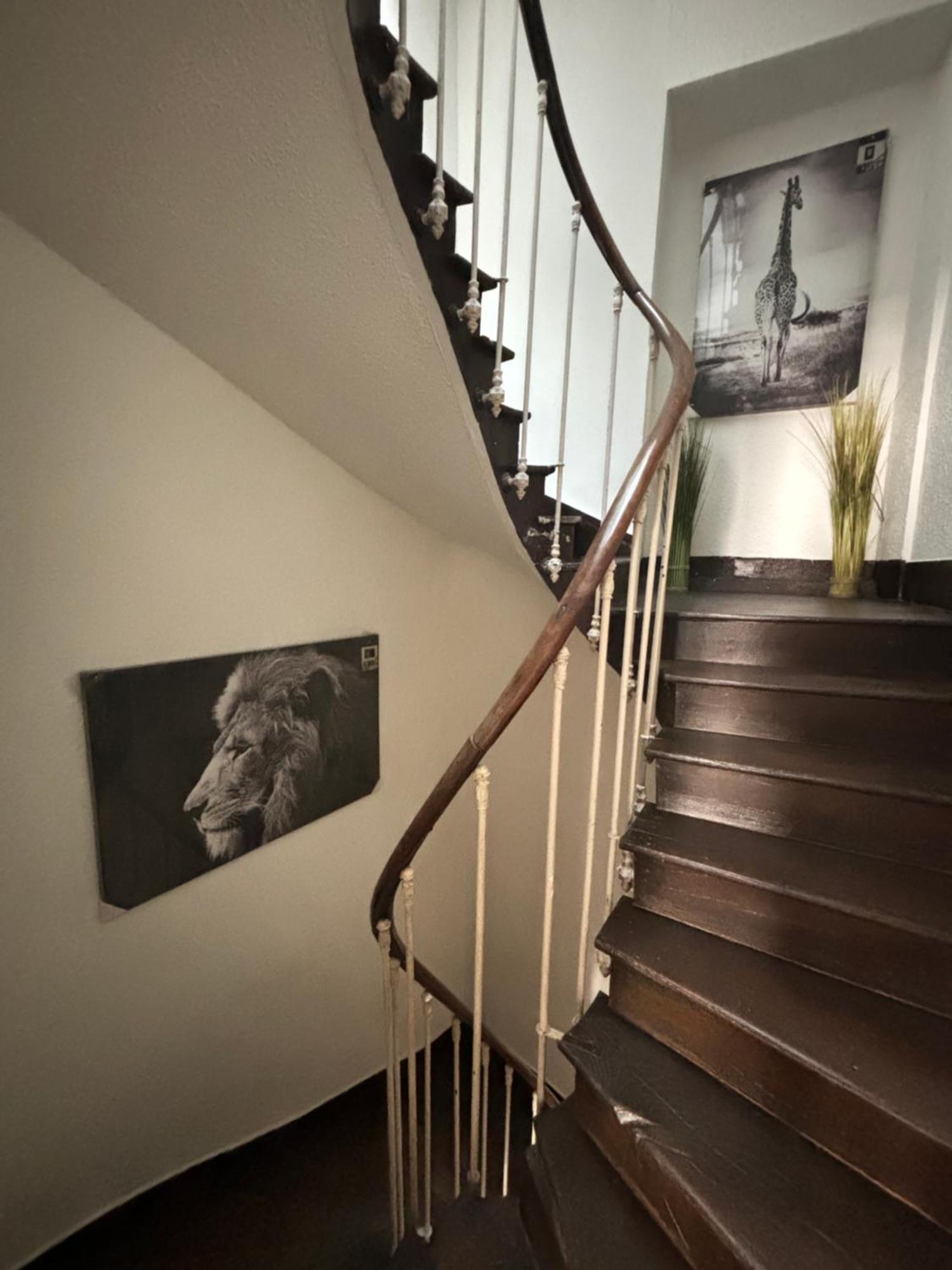 Le Duplex Safari Apartment Saint-Aignan  Luaran gambar