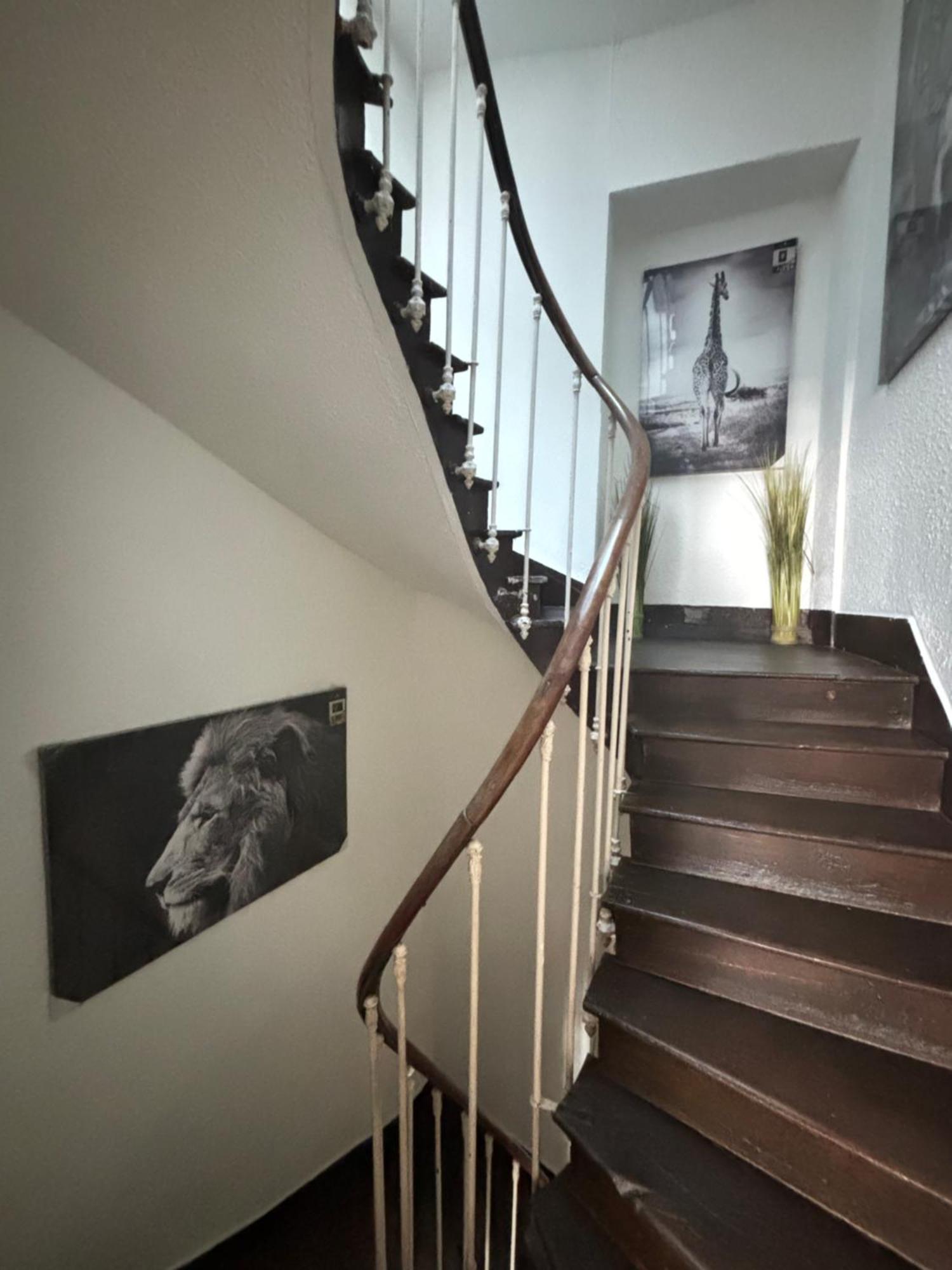 Le Duplex Safari Apartment Saint-Aignan  Luaran gambar